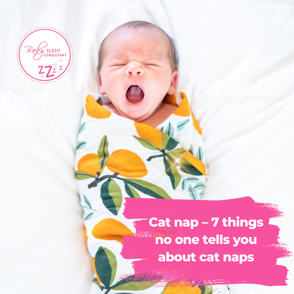 Cat nap – 7 things no one tells you about cat naps