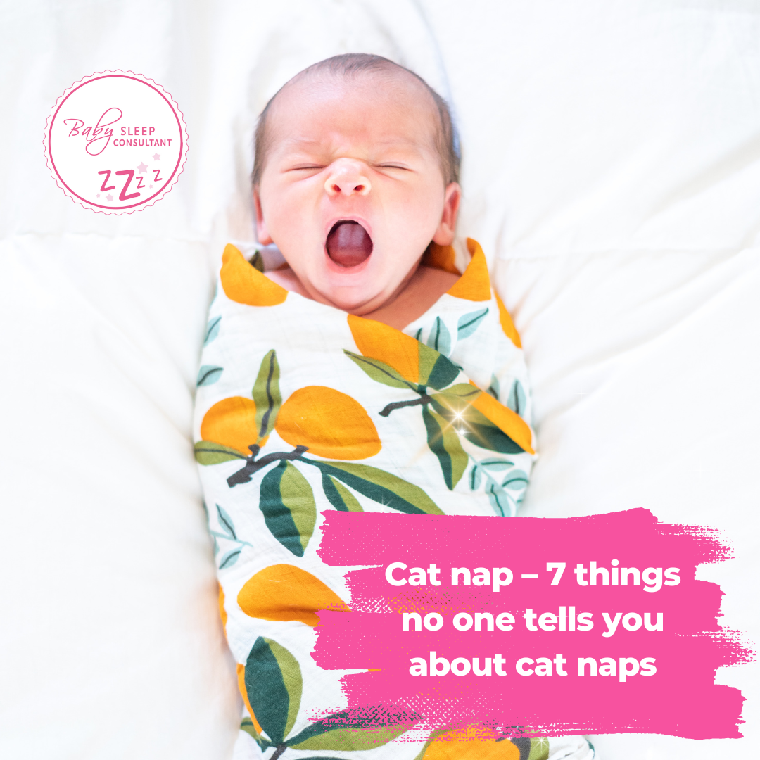 Cat Nap Testing Cat naps - 7 things you need to know about those 45 min naps