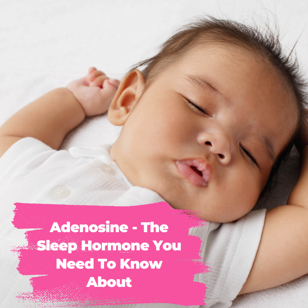 Adenosine sleep hormone